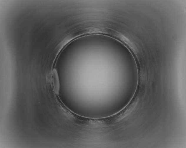 X0000112371089200908201457