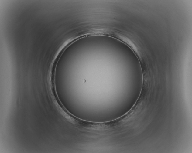 X0000112371091200908201457