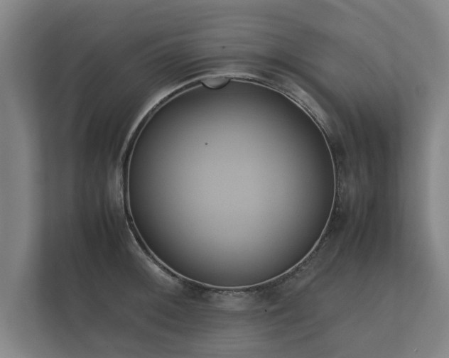 X0000112371092200908201457