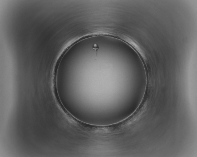 X0000112371093200908201457