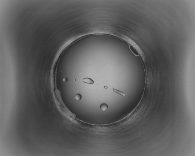 X0000112371096200908201457