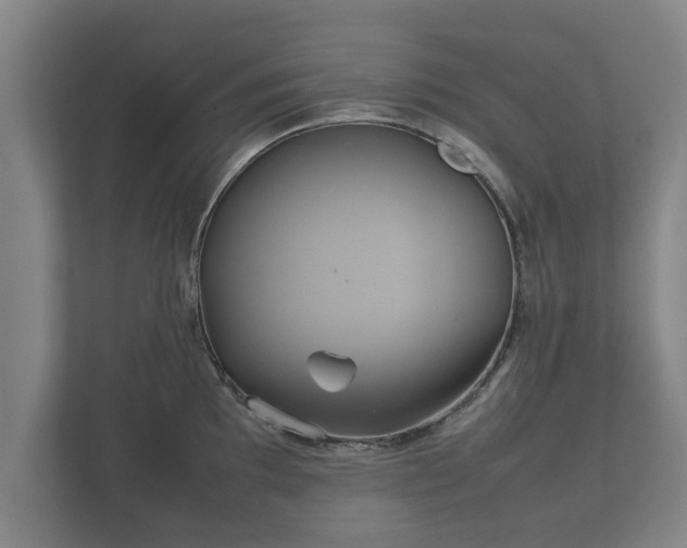 X0000112371097200908201457