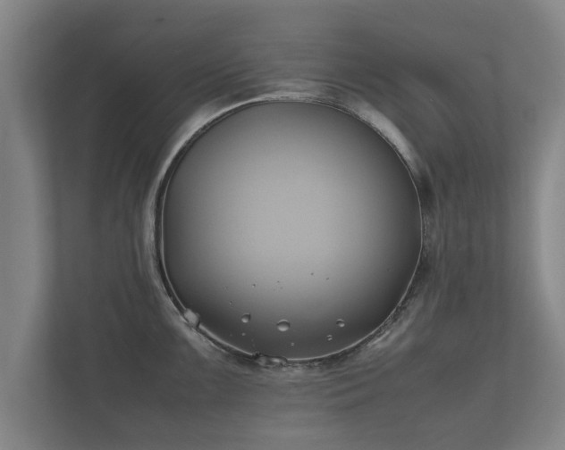 X0000112371099200908201457