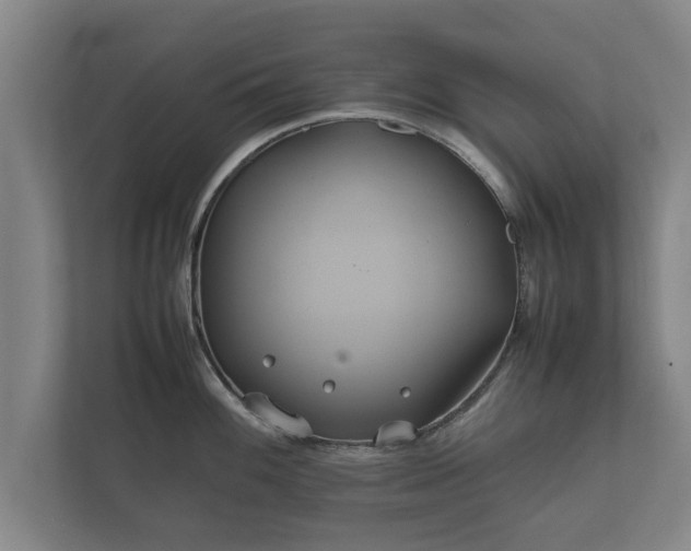 X0000112371100200908201457