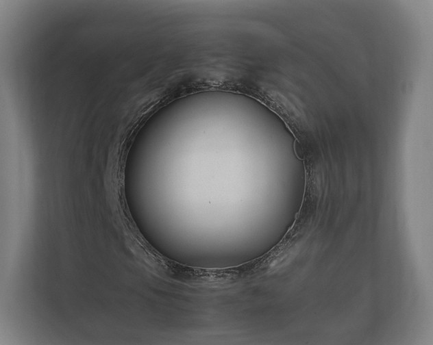 X0000112371105200908201456