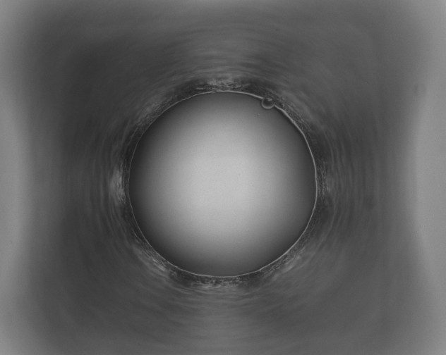 X0000112371106200908201456