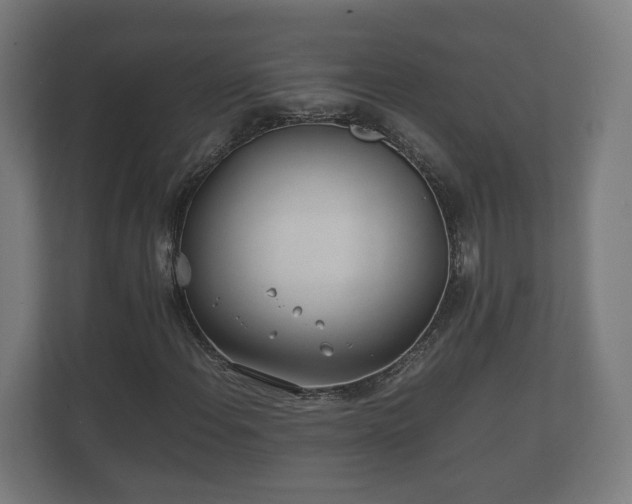 X0000112371108200908201456