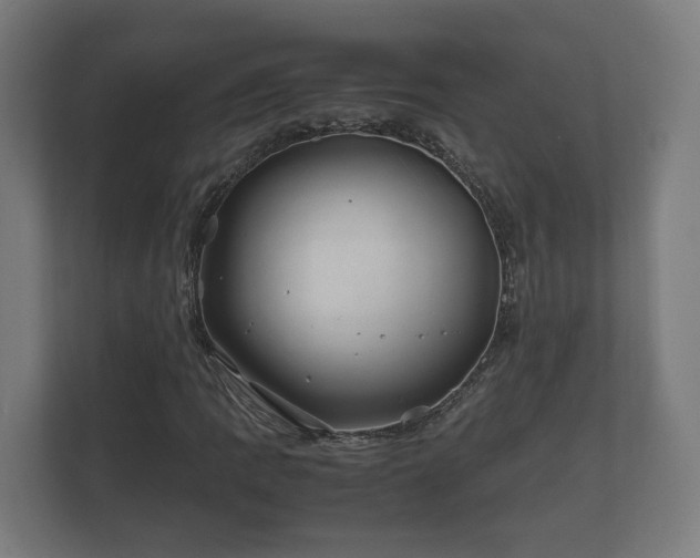 X0000112371109200908201456