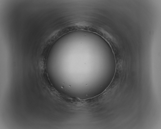 X0000112371110200908201456