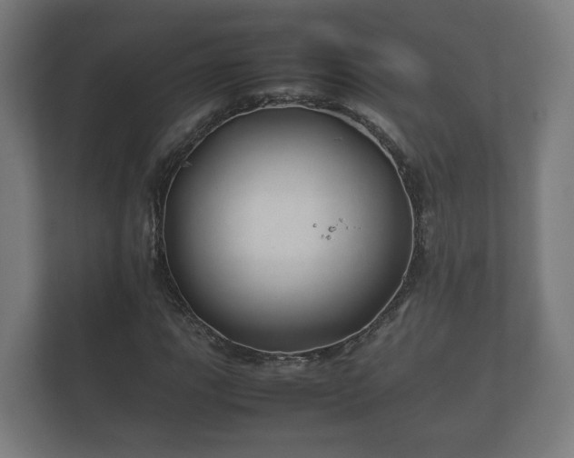 X0000112371111200908201456