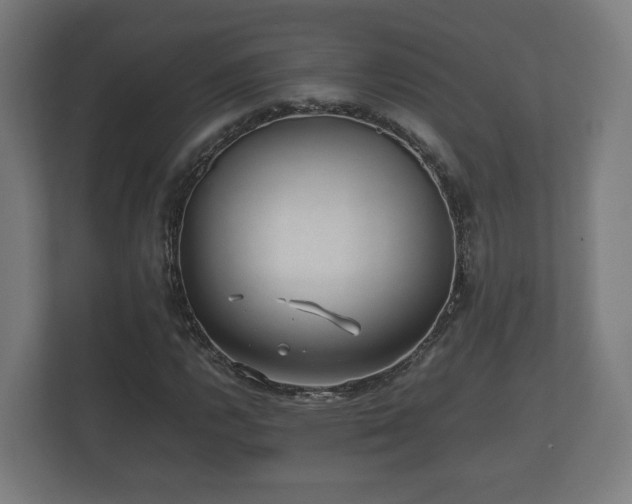 X0000112371112200908201456