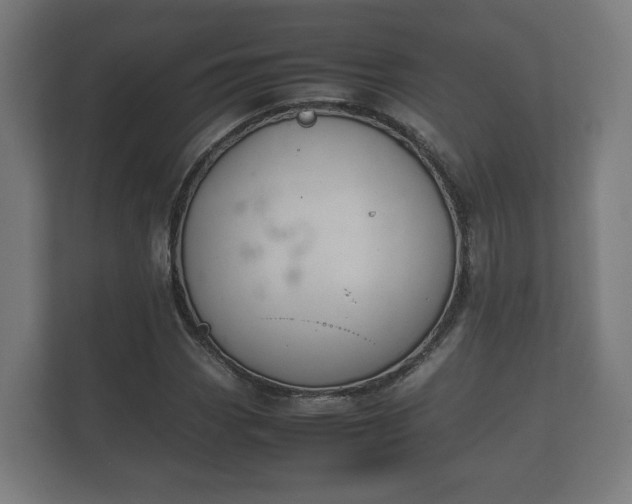 X0000112371113200908201456