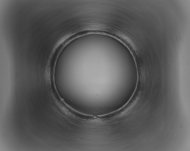 X0000112371114200908201457