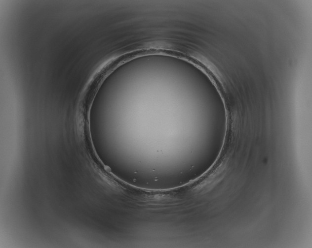 X0000112371115200908201457