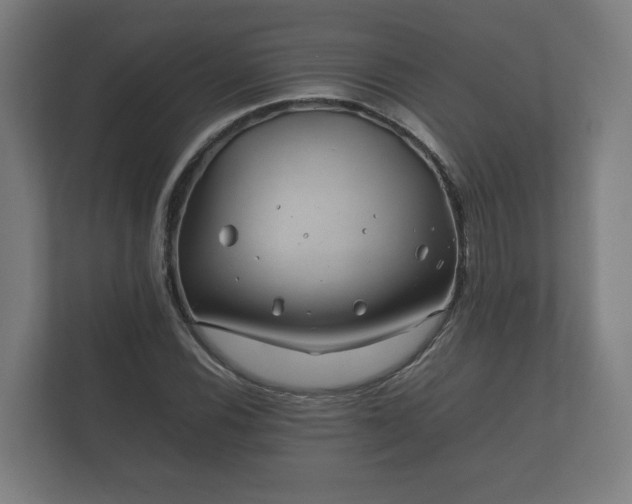 X0000112371116200908201457