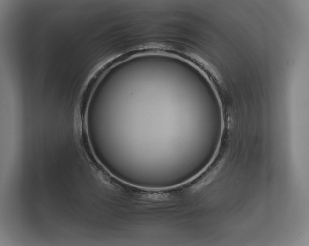 X0000112371117200908201457