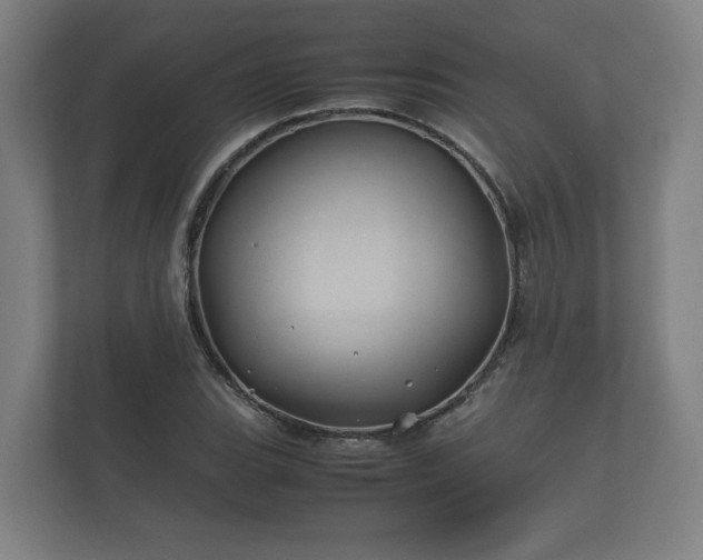 X0000112371119200908201457