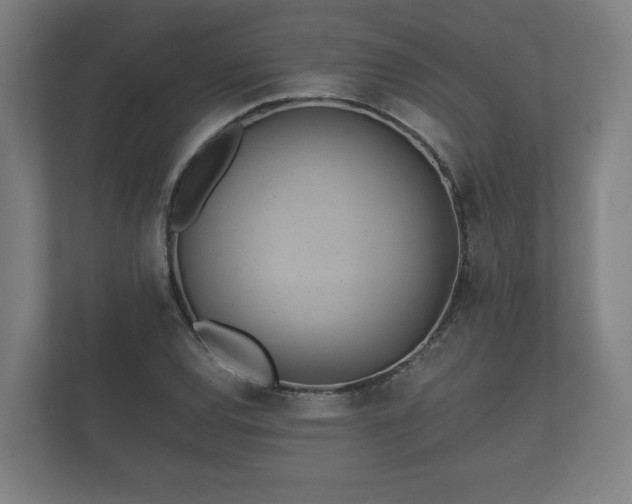 X0000112371120200908201457