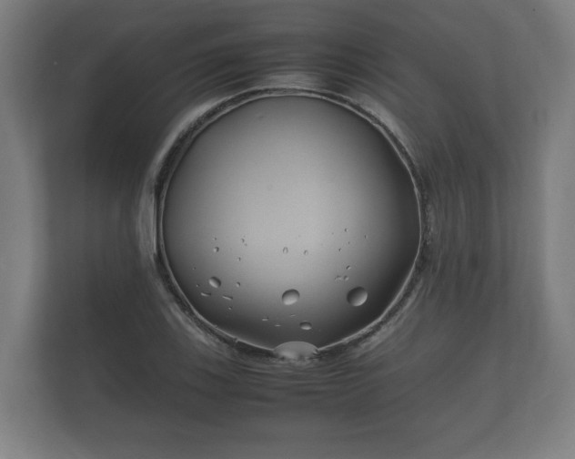 X0000112371123200908201457