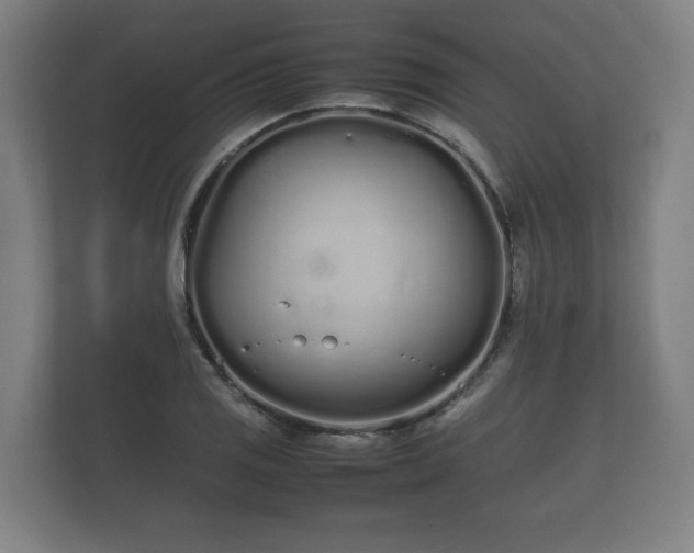 X0000112371125200908201457