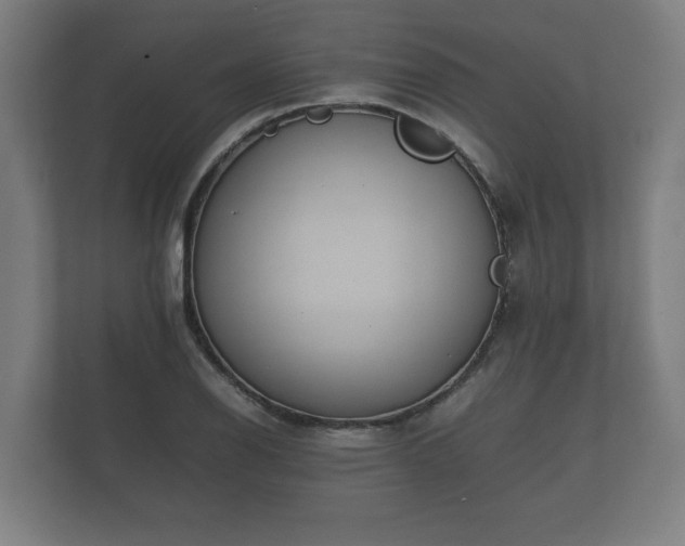 X0000112371126200908201457