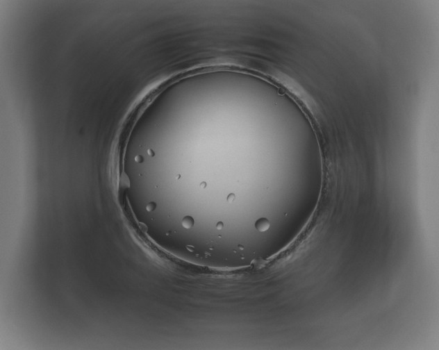 X0000112371127200908201457