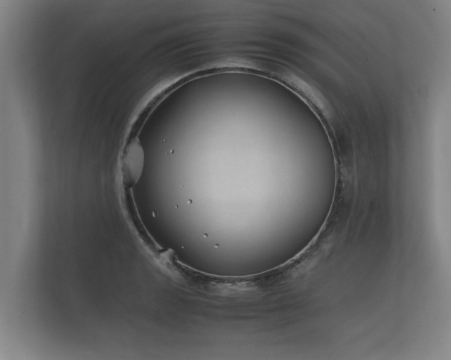 X0000112371133200908201457