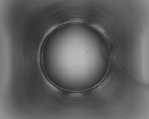 X0000112371135200908201457