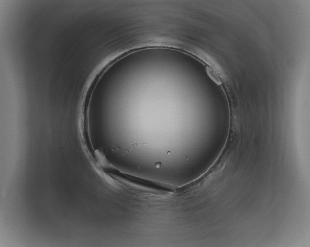 X0000112371136200908201457