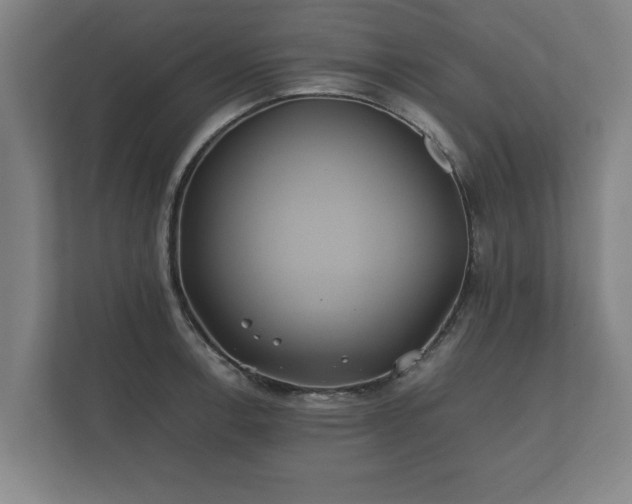 X0000112371138200908201457