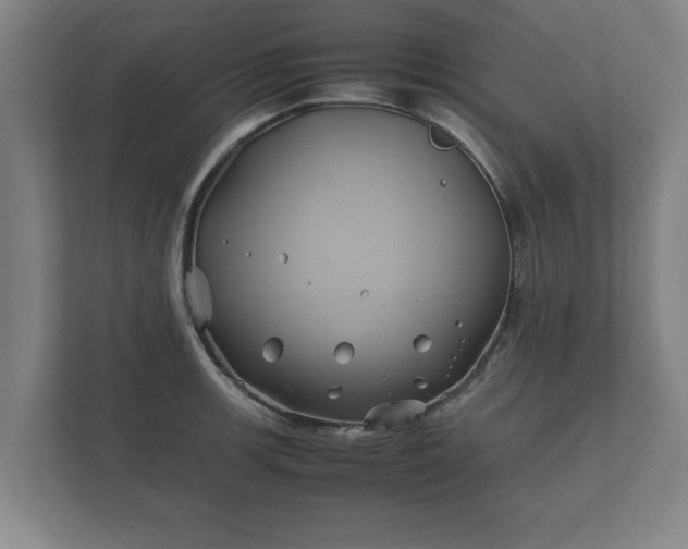 X0000112371139200908201457