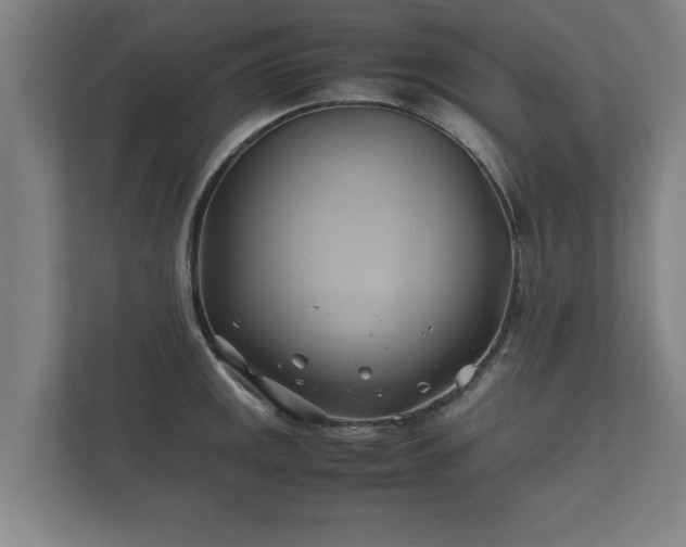 X0000112371141200908201457