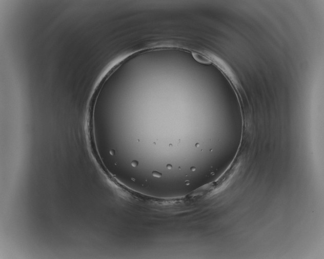 X0000112371149200908201457