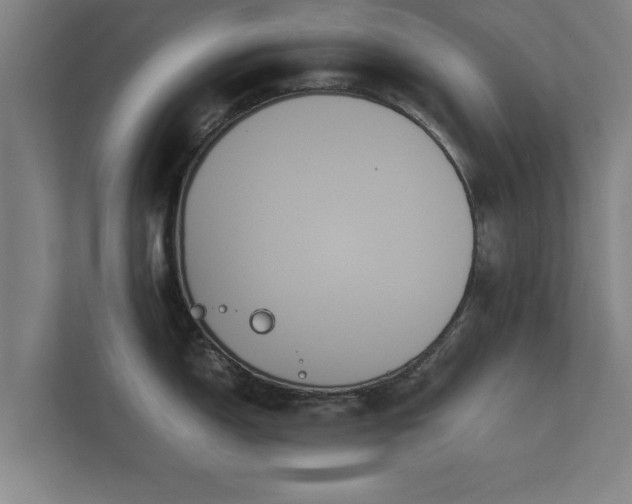 X0000112371150200908201457