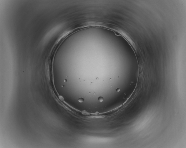 X0000112371151200908201457