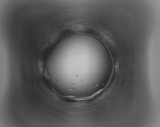 X0000112371156200908201456