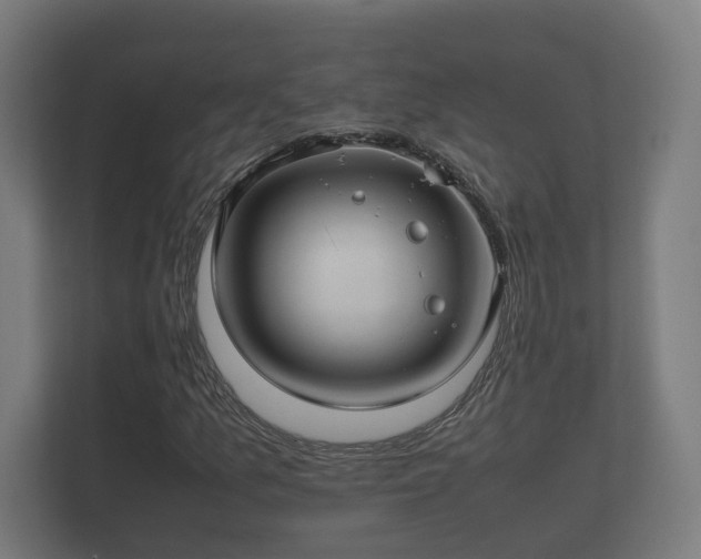 X0000112371157200908201456