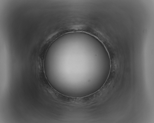 X0000112371158200908201456