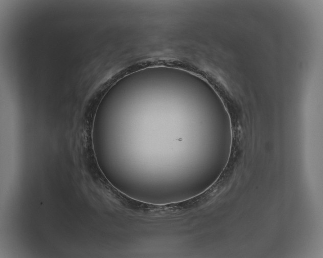 X0000112371159200908201456