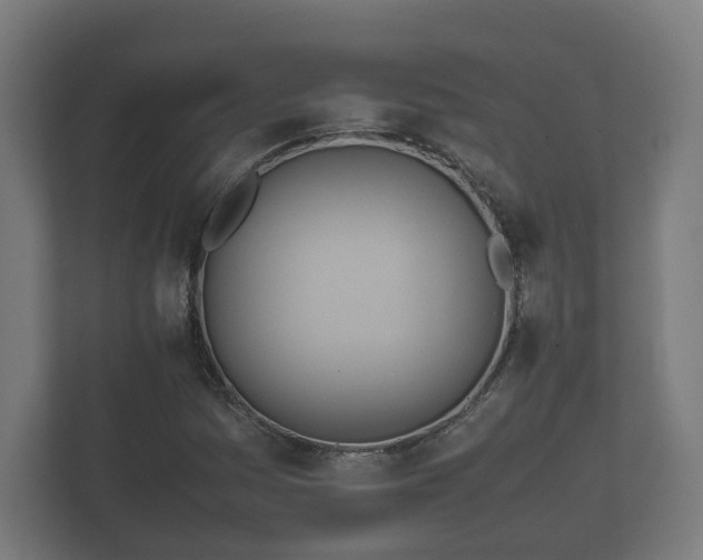 X0000112371161200908201456