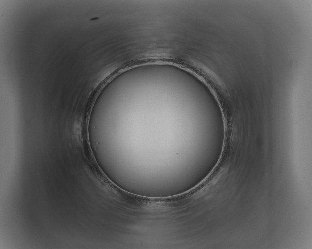 X0000112371162200908201456