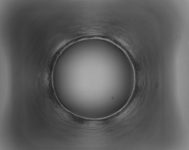 X0000112371163200908201456