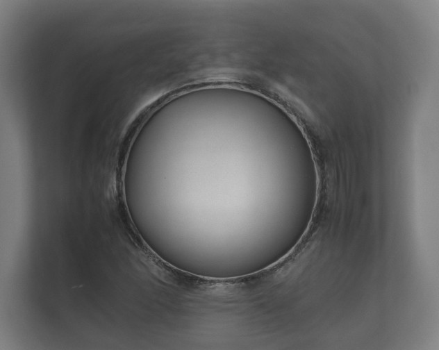 X0000112371166200908201456