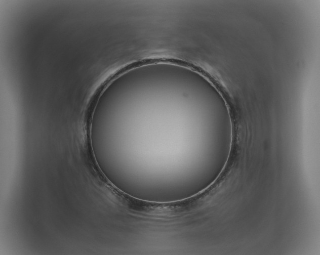 X0000112371167200908201456