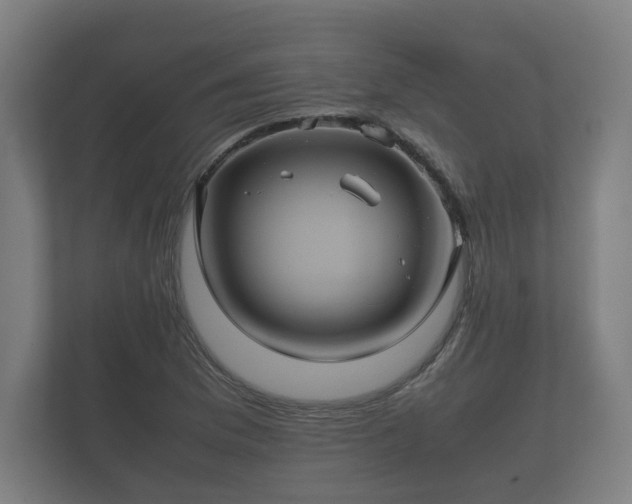 X0000112371169200908201456