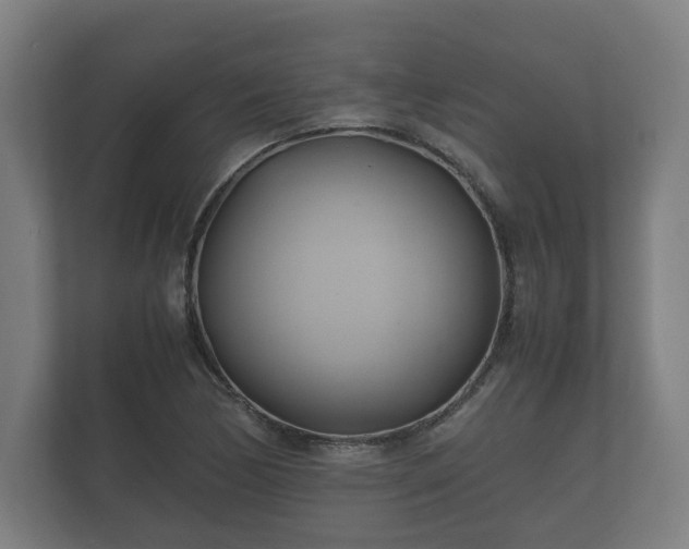 X0000112371170200908201456