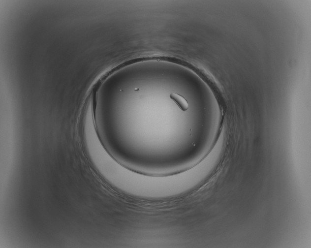 X0000112371173200908201456