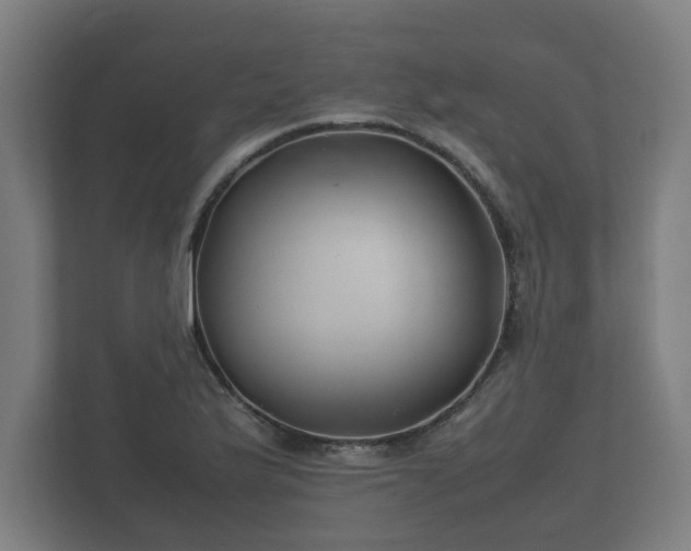 X0000112371175200908201456