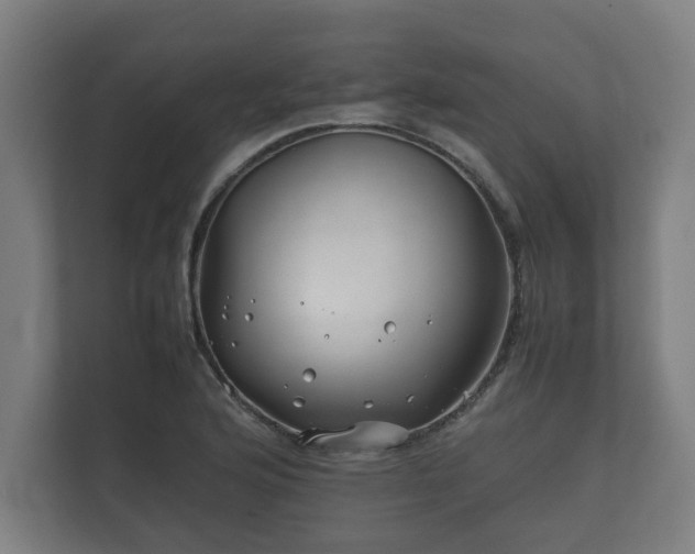 X0000112371176200908201456