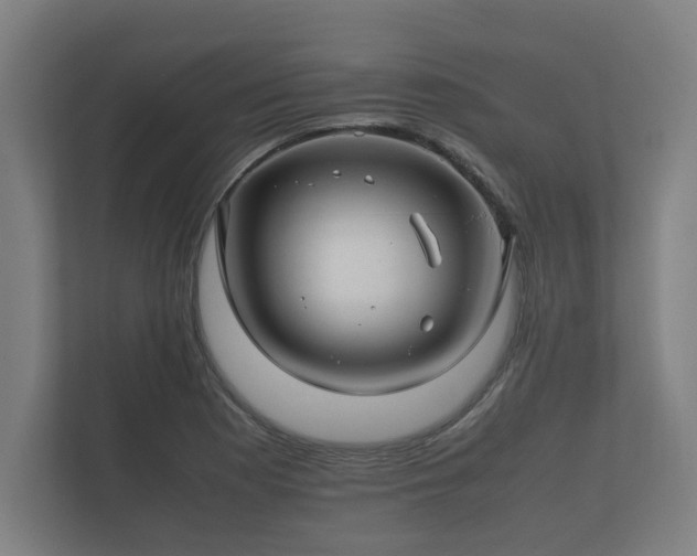 X0000112371177200908201456